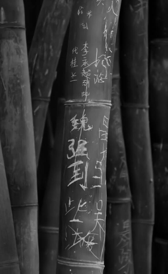 By: Creator Name By: Creator Name